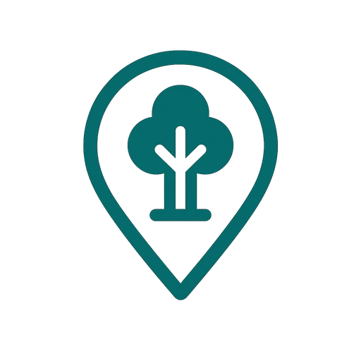 Professional chainsaw and rigging gear used for tree removal in Shoreline